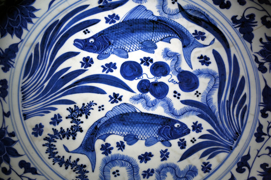 元青花陶瓷双鱼纹饰图案特写