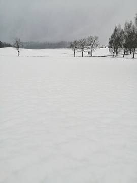 挪威雪景