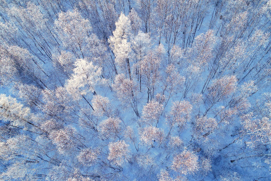 航拍雪原密林雾凇