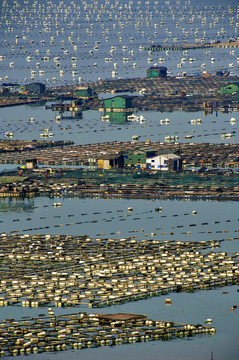 福建霞浦