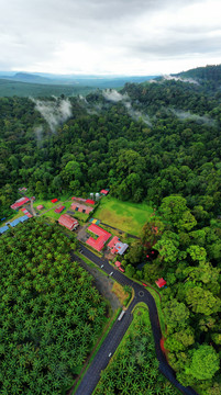 马来西亚斗湖山国家公园
