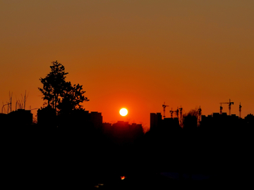 夕阳红