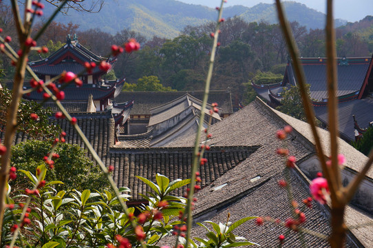 宁波天童寺