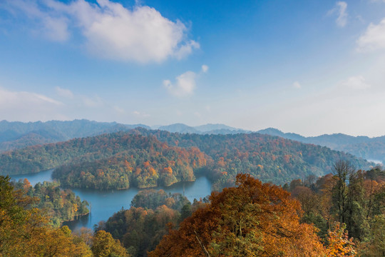 水富铜锣坝原始森林自然景观