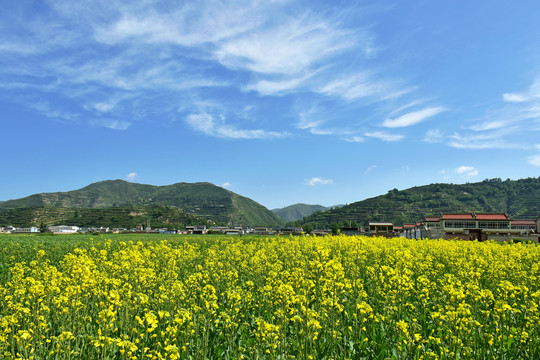 乡村田园风光