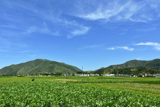 乡村田园风光