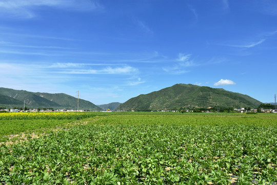 乡村田园风光