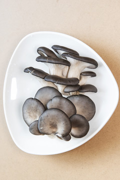 平菇1蘑菇2食用菌