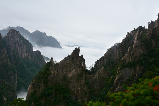 山景