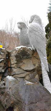 雕塑公园雪景