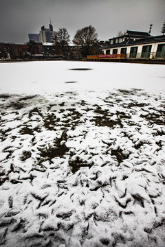 雕塑公园雪景