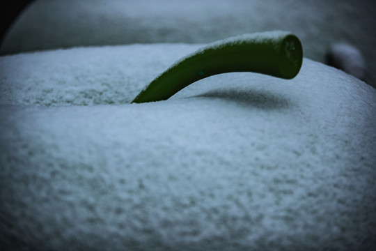 雕塑公园雪景