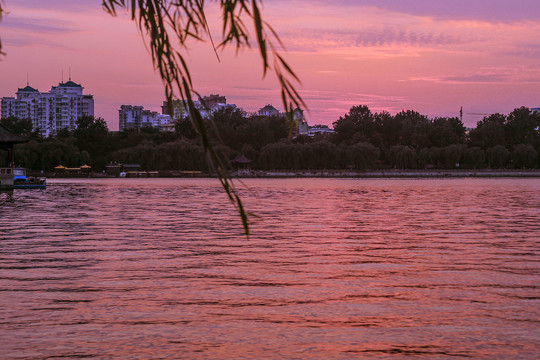大明湖的夕阳