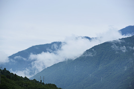 大山云雾