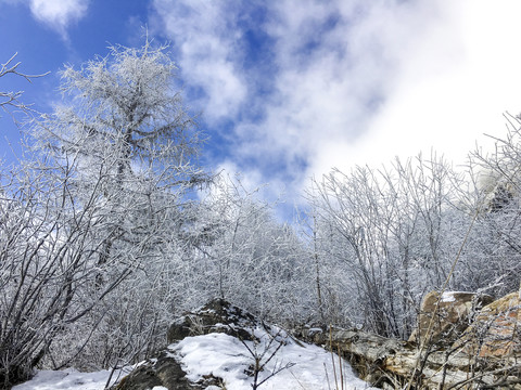 毕棚沟雪景