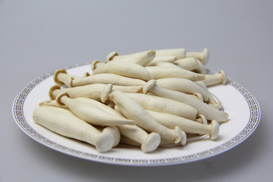 白玉菇脆