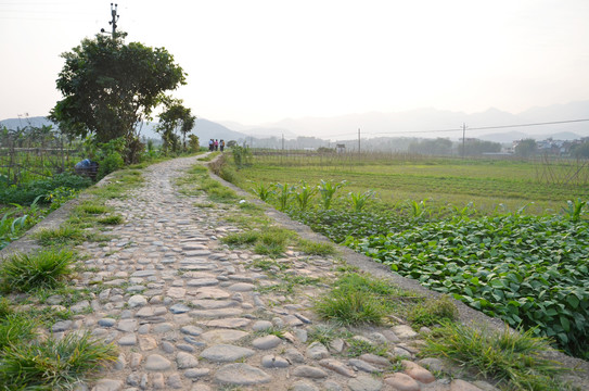 龙川苏堤