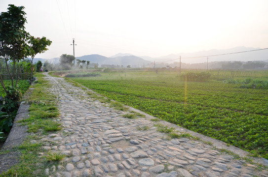 石子路