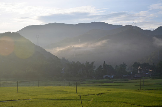 山区稻田