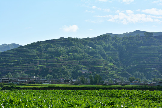 乡村田园风光