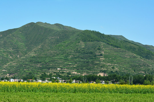 乡村田园风光