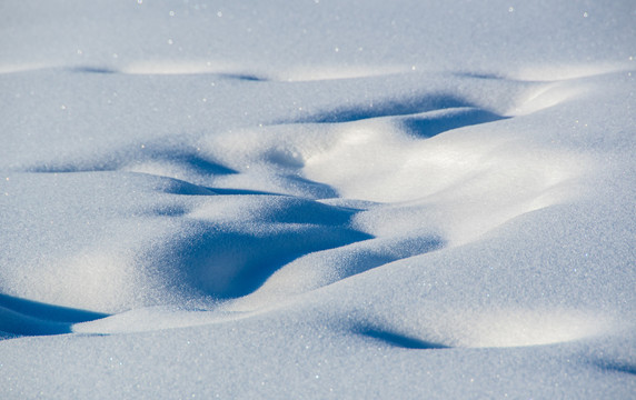 冬天喀纳斯雪景