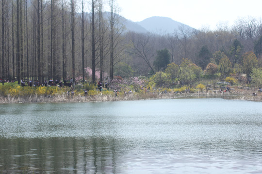 徐州森林公园