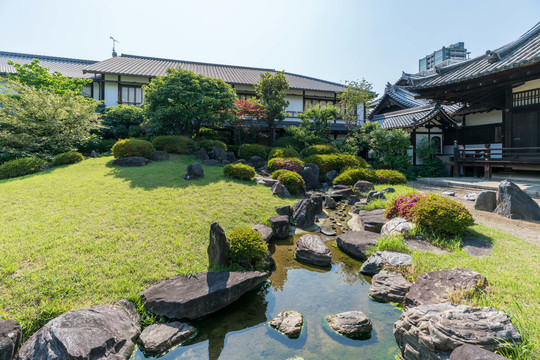 日本大阪四天王寺本坊庭院园林