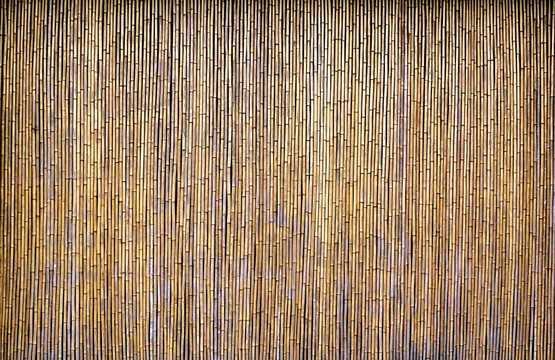 竹子围墙