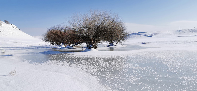 雪原小溪树