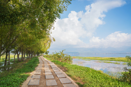 中国云南省拉什海湿地公园风光