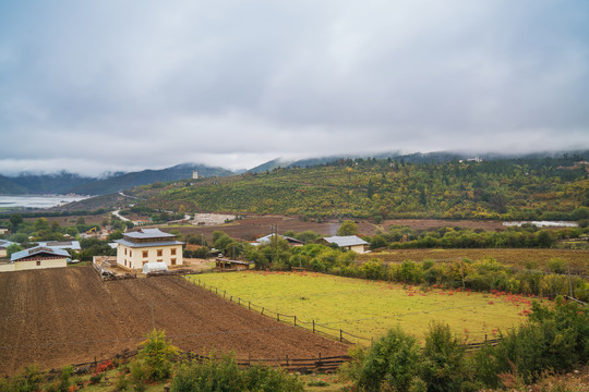 中国云南省纳帕海草原旅游风光