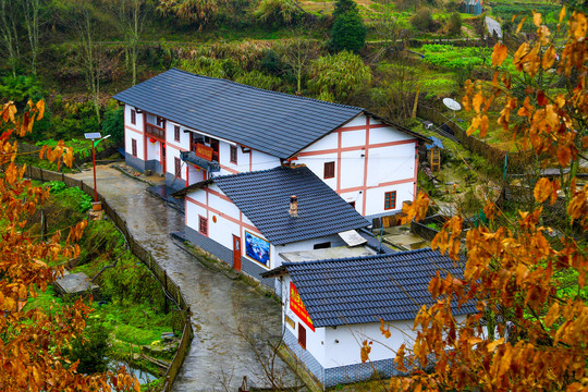 井冈山市茅坪乡神山村