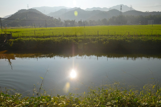 乡村早晨日出