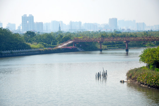 海珠湿地