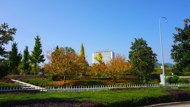 竹溪公园广场绿树