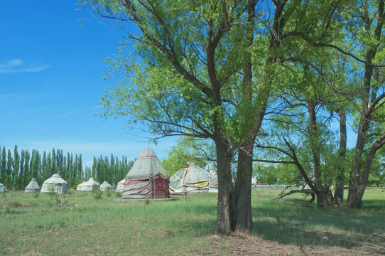 内蒙古传统部落家园