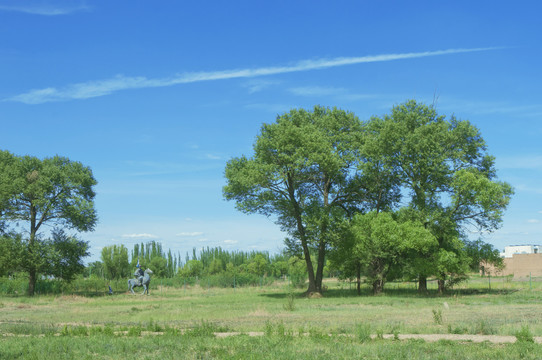 草地绿树风景