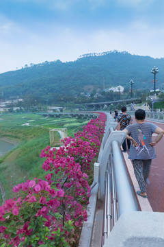 宜宾岷江边蜿蜒的休闲道