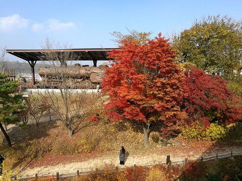 临津阁和平公园