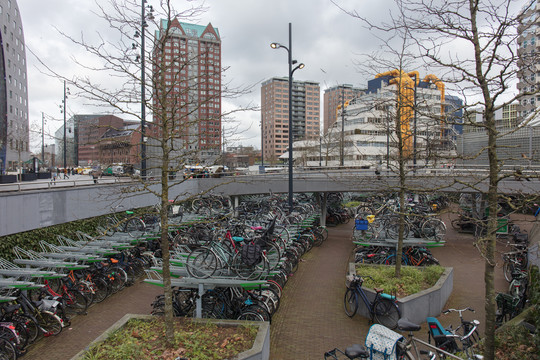 荷兰鹿特丹自行车架