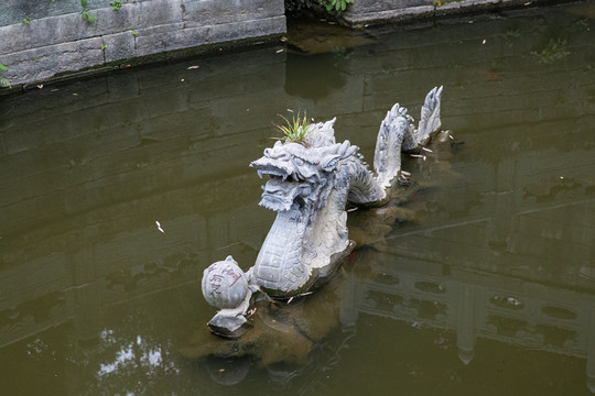 紫霄宫门口水池中的青龙