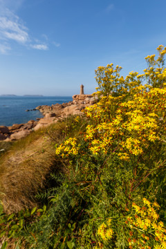 法国布列塔尼玫瑰海岸黄昏风景