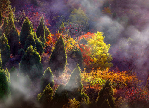 桃花山