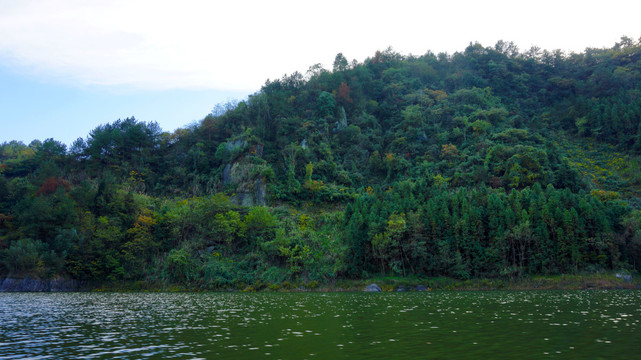 龙坝水库风光绿树
