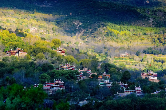 中国川西山区的草原牧场自然风光