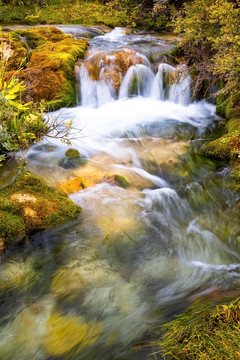 中国川西山区泉华滩的草原河流