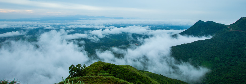 风景