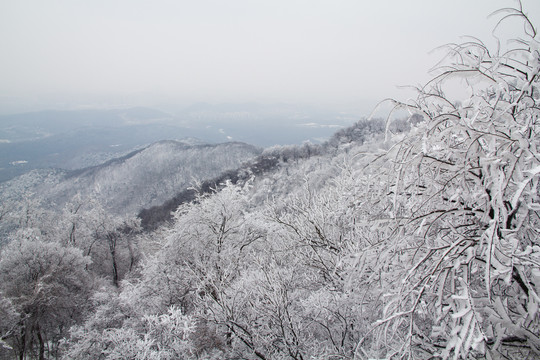 紫金山雪景