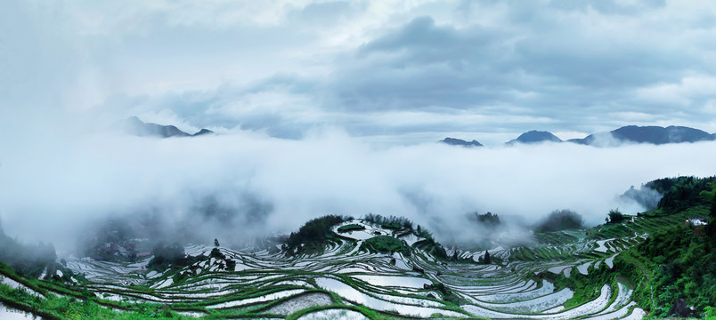 云阳梯田全景